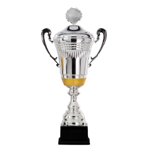 Trofej EM5620 - Srebrno zlatni
